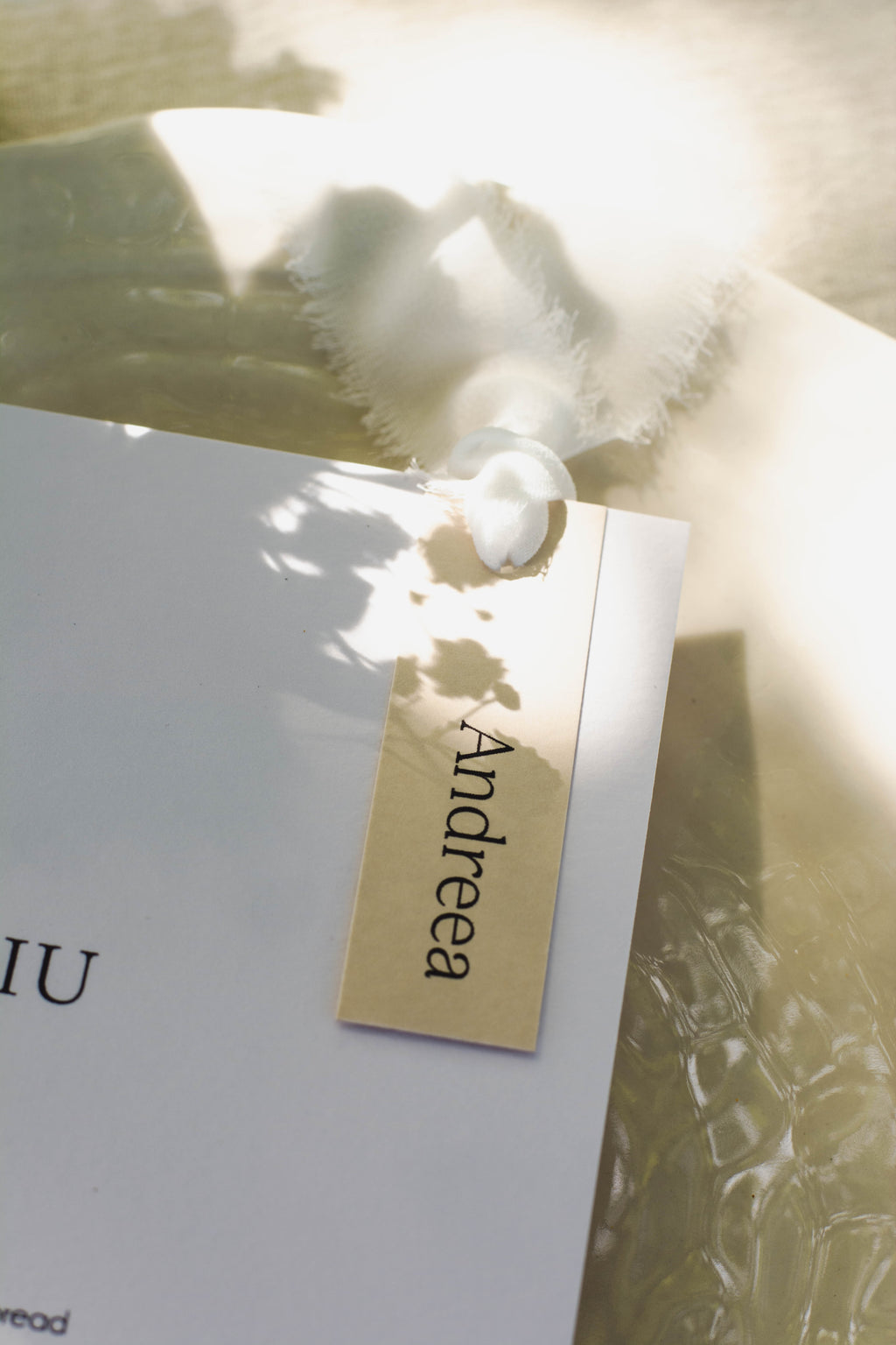Meniu minimalist- nametag atasat cu panglica
