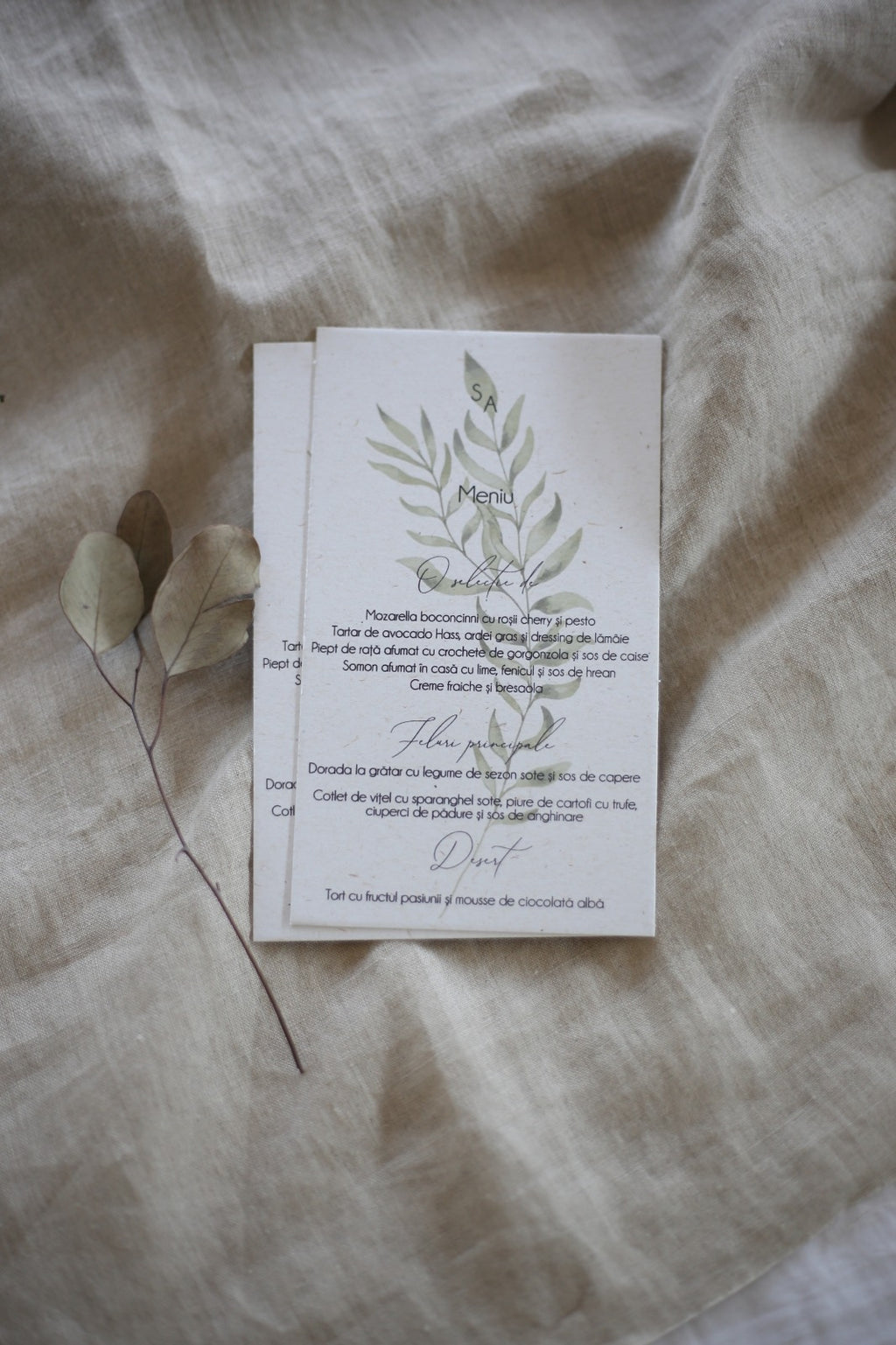 Meniu motiv organic