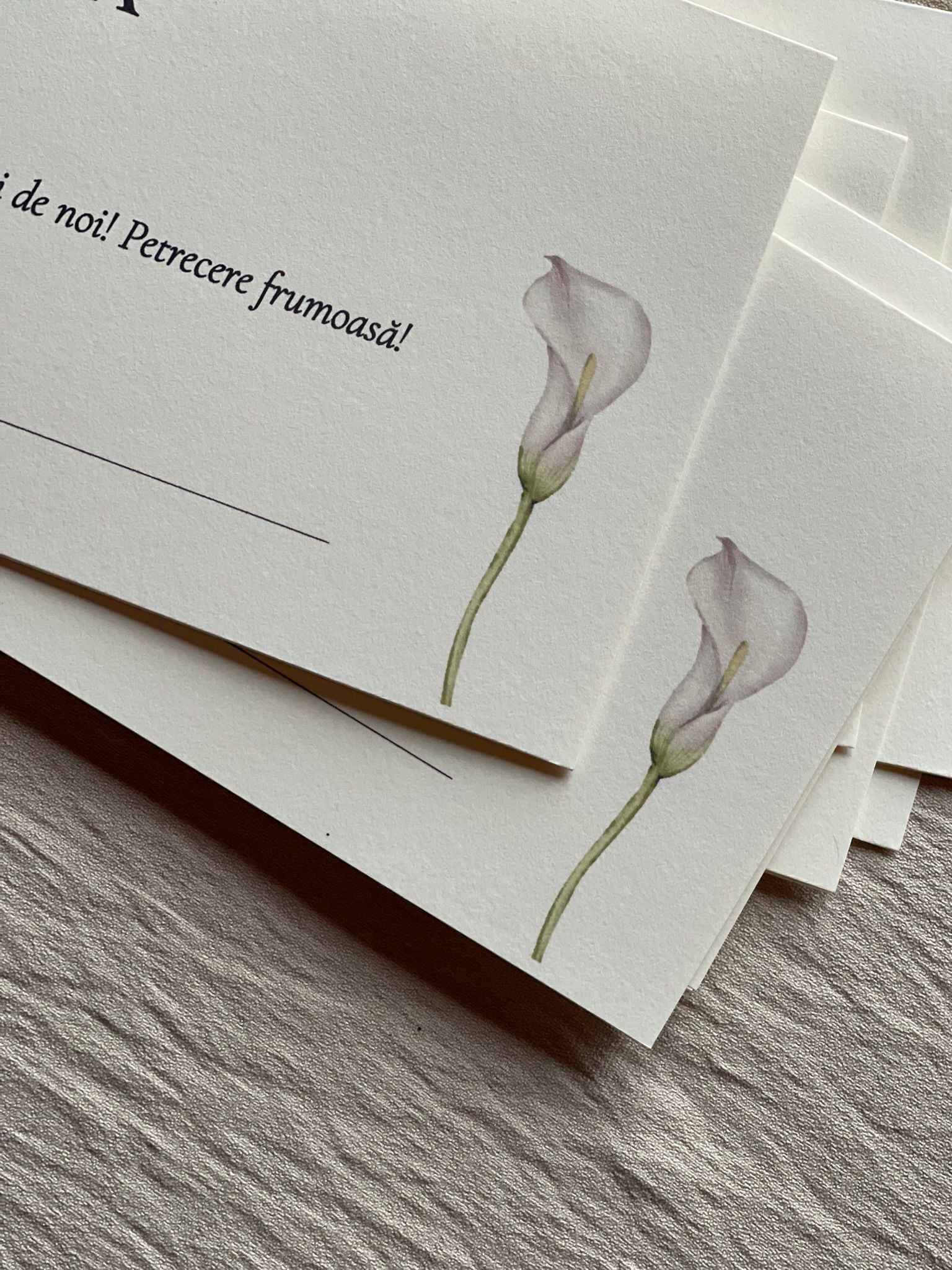No.6 Plic tip place card